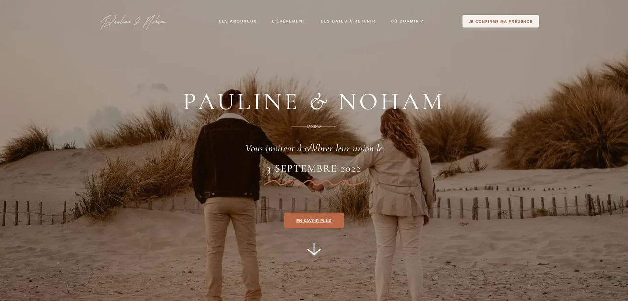 Capture ordinateur du site Pauline et Noham
